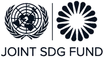 Joint SDG Fund